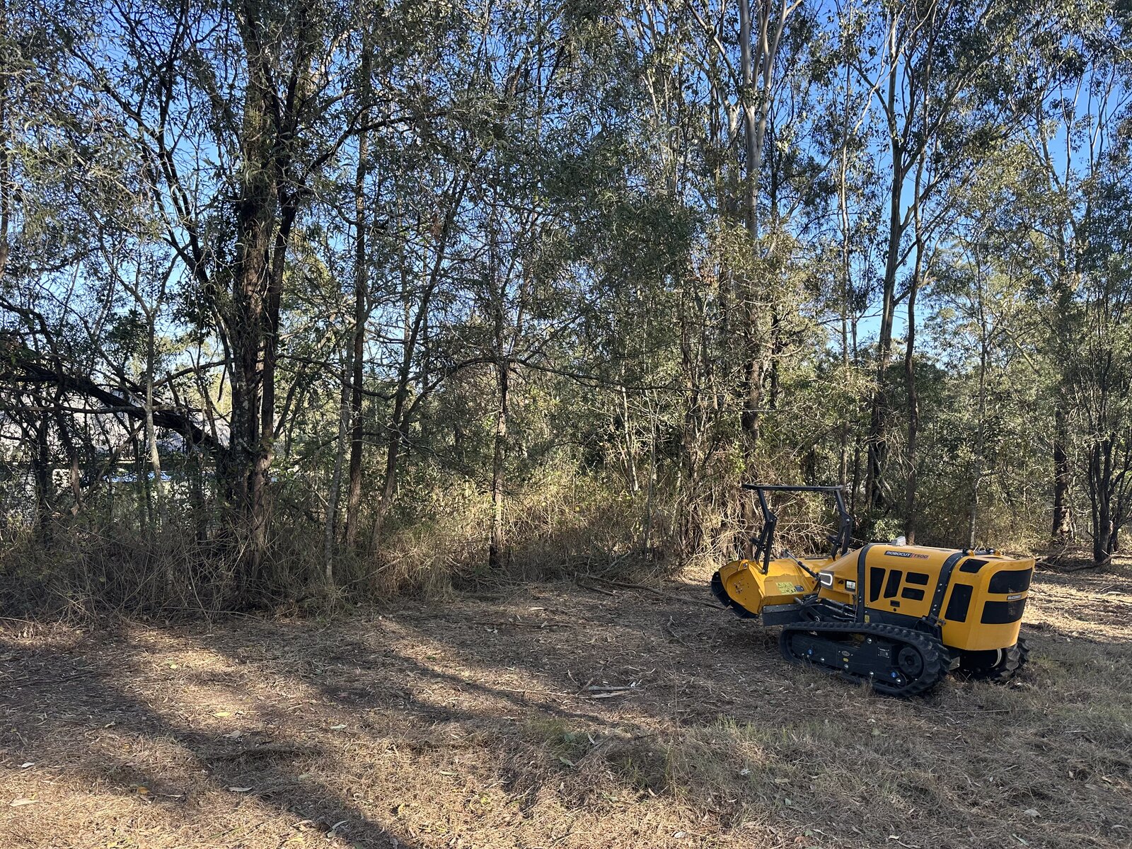 Harman Trees job site