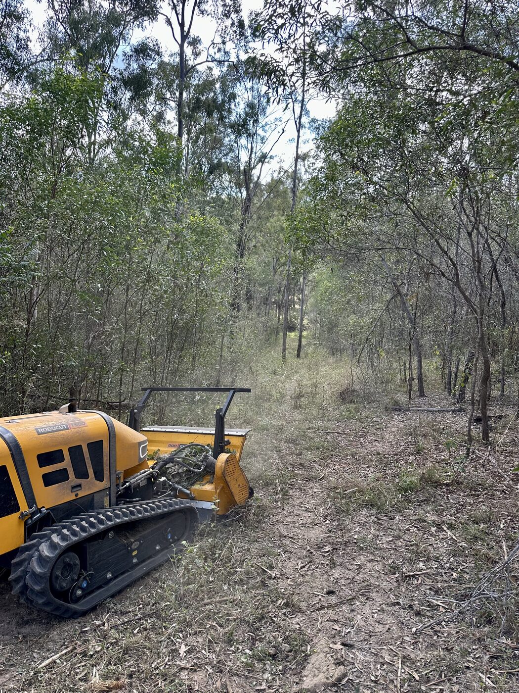 Harman Trees job site