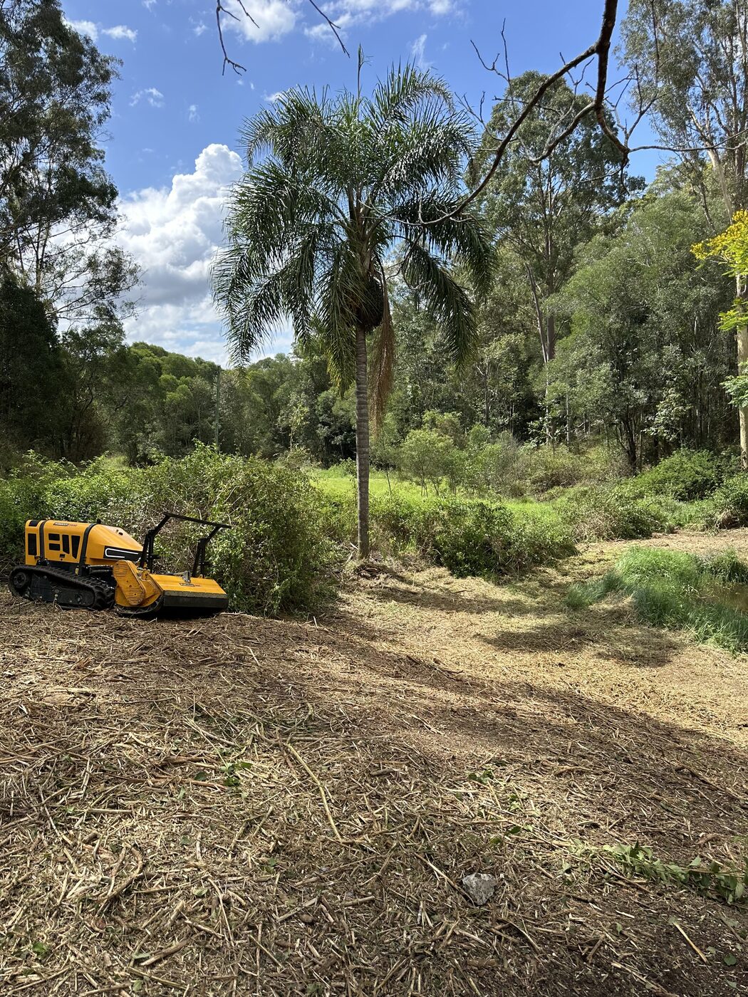Harman Trees job site
