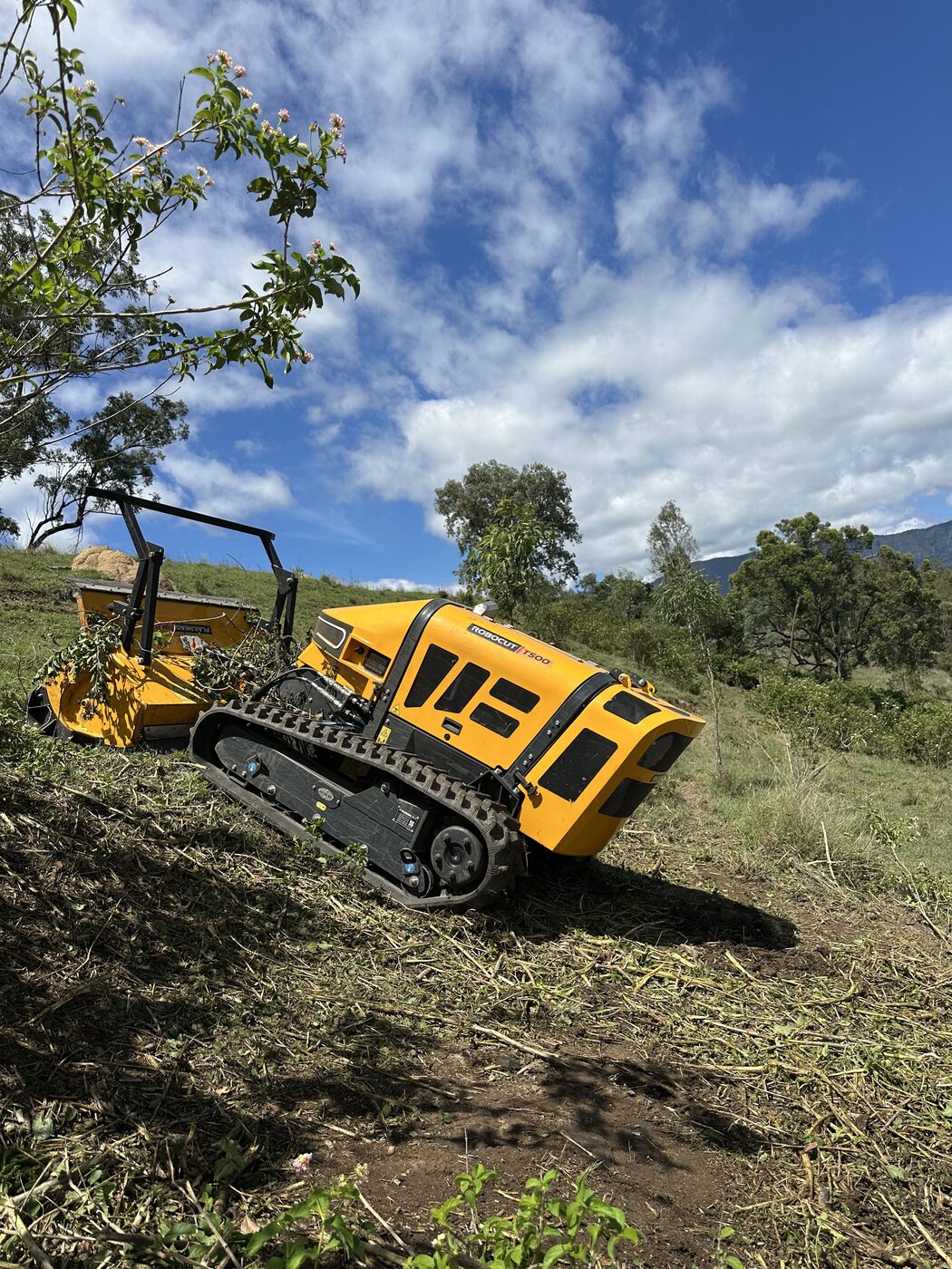 Harman Trees job site